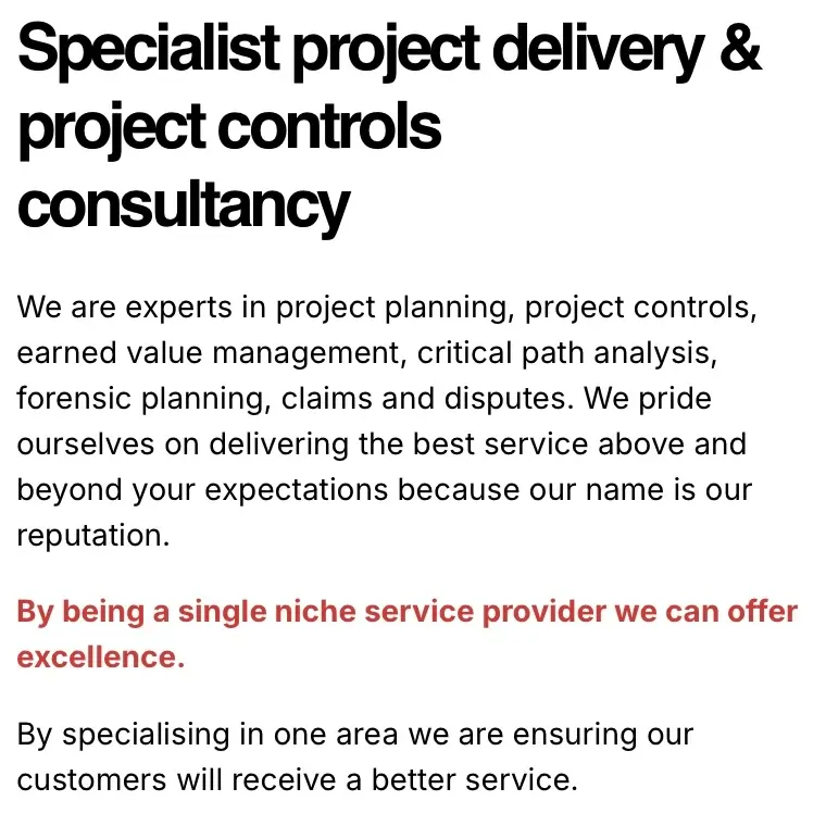 Website example 3